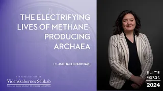 Amelia-Elena Rotaru - The Electrifying Lives of Methane-Producing Archaea