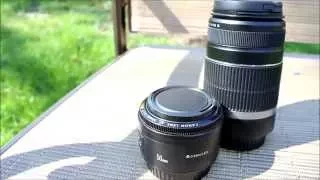 Canon EF 50mm f/1.8 vs EF-S 55-250mm IS f/4-5.6