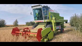 Збирання сої 2021.09..CLAAS DOMINATOR 68.