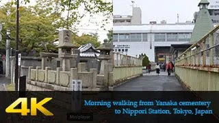 [4K] Morning walking from Yanaka cementery to Nippori Station in Tokyo #TYO-005