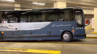 Greyhound bus