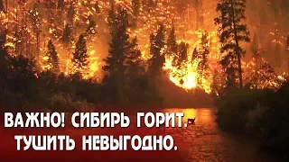 ВАЖНО! СИБИРЬ ГОРИТ. ТУШИТЬ НЕВЫГОДНО