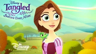 The First 5 Minutes | Tangled Before Ever After