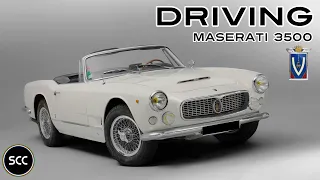 MASERATI 3500GT Vignale Spyder 1961 - 3500 GT Test drive in top gear - I6 Engine sound | SCC TV