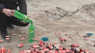 Experiment Underground coca cola and  mentos vs Fish,Fanta,Sprite,Pepsi