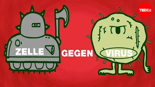 Zelle gegen Virus: ein Kampf um die Gesundheit – Shannon Stiles