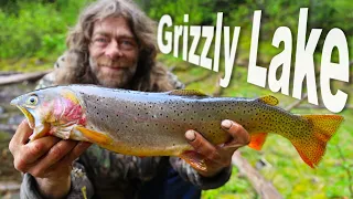 Catching Big Trout At Grizzly Lake - Day 12 & 13 of 30 Day Survival Challenge Canadian Rockies