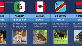 National Animals // Symbols Of Countries (Comparison)