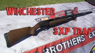 Winchester SXP Trap