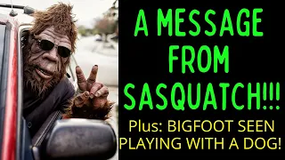 A Message From Sasquatch - Plus - It was Playing With A DOG!