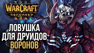 ЛОВУШКА ОТ ЗНАХАРЕЙ ДЛЯ ДРУИДОВ ВОРОНОВ в Warcraft 3 Reforged