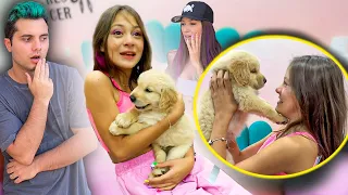 REAÇÃO DA BIANKINHA AO VER O CACHORRINHO ! - Vida de Maloucos #4