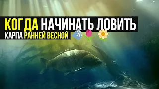 КОГДА начинать ЛОВИТЬ КАРПА ранней ВЕСНОЙ ❓ СОВЕТЫ по ЛОВЛЕ в ХОЛОДНОЙ ВОДЕ!