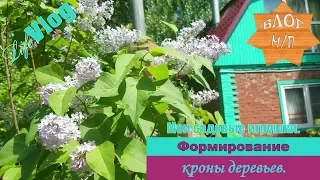 Мои садовые игрушки. Как я формирую деревья и кустарники.