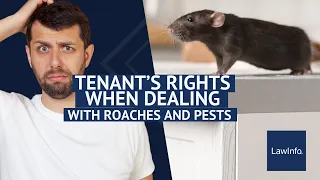 Tenants' Rights When Dealing With Roaches and Pests | LawInfo