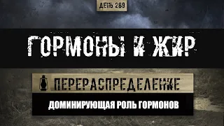 289. Гормоны и распределение жира в теле. Приоритет эстрадиол / тестостерон (Химический бункер)