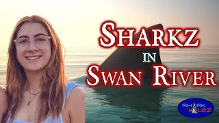 Sharkz in Swan River: The TRAGIC Tale of Stella Berry