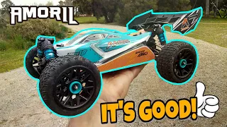 AMORIL Buggy Speed & Off Road Bash Test Review | Performs GREAT!