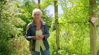 Summer Gardening with Carol Klein🍀Episode 2