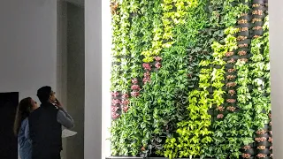 Florafelt Pockets Living Wall by Plants On Walls