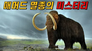 최후의 매머드는 외딴 섬에서 어떻게 사라져갔나?