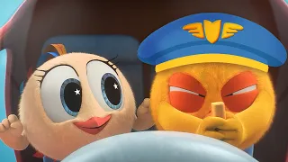 CHICKY PILOT 🚁 Where's Chicky? | Chicky Cartoon in English for Kids