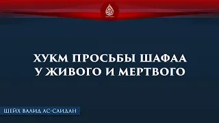 Хукм просьбы шафаа у живого или мертвого | Шейх Валид ас-Саидан