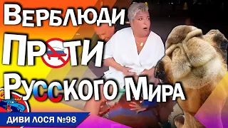 Дану Борисову досі не відпускає ЗЕЛЕНСЬКИЙ і відро білого снігу. Верблюди Єгипта проти РУССКОГО МИРА