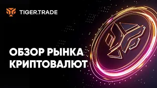 Обзор криптовалют: BTC, BCH, ETH, SOL, XRP, ADA с Сергеем Морозовым — Tiger.Trade