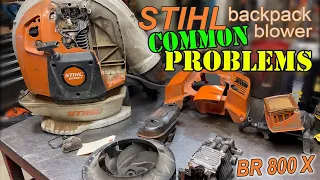 STIHL BR800 Backpack Blower common problems and what to look for