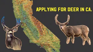 HOW to APPLY for DEER in California.