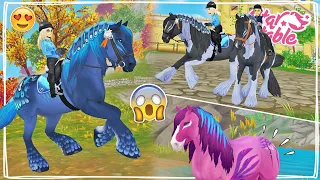 DE NIEUWE RARE MAGISCHE PAARDEN KOPEN! 🤪 - Update | Star Stable Online | Daphne draaft door