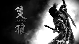 Sekiro | The Peak Of Combat