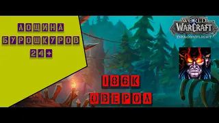 Лощина Бурошкуров +24 Dragonflight 10.1/ Brackenhide Hollow +24 Warlock