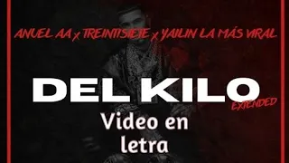 @Anuel AA ❌ @Treintisiete ❌ @Yailin la mas viral - Del kilo ( Video en letra)