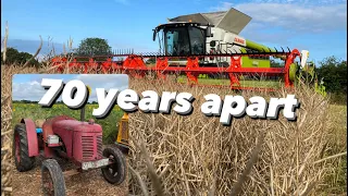 Day506 #OLLYBLOGS CLASSIC DAVID BROWN CROP MASTER & WE GET CUTTING OIL SEED RAPE #AnswerAsAPercent