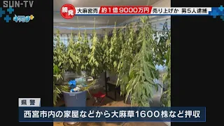 大麻密売グループを摘発　約1億9000万円を売り上げ