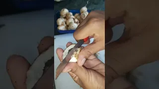 How to clean button mushrooms🍄 perfectly before cooking..simple way 🍄 🥣🔪🏝#mushrooms #mashroomcleaner