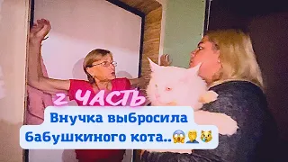 Внучка чуть не выбросила бабушкиного кота.. (2 ЧАСТЬ)