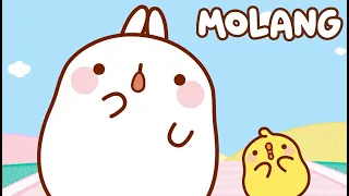 Molang - THE BOX (S3 EP6) 🌸 Best Cartoons for Babies - Super Toons TV