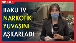 Bakının mərkəzində narkomanlar yuvası - Baku TV