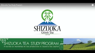 Shizuoka Tea Study Program