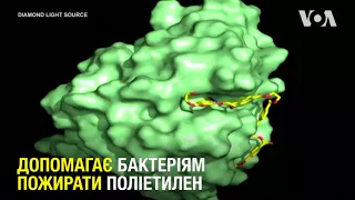 Вчені знайшли фермент, здатний поїдати пластик