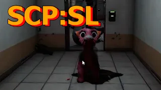 So SCP Got Another Update...-SCP:SL