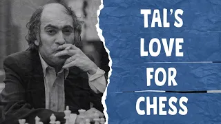 Tal's Love For Chess || Shape of You Parody