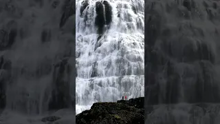 Magical waterfall in Iceland #shorts #waterfall #iceland