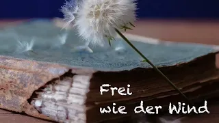 Frei wie der Wind von Dina - Trauerfeier, Beerdigung