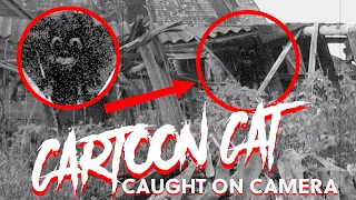 CARTOON CAT Caught on Camera | Real or Fake