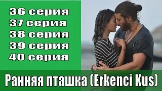 Ранняя пташка (Erkenci Kus) - 1 сезон 36, 37, 38, 39, 40 серии - турецкий сериал/анонс, сюжет