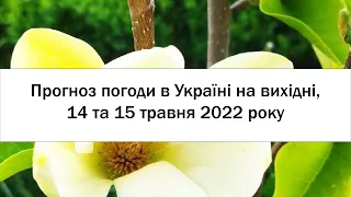 Прогноз погоди в Україні на вихідні 21 та 22 травня 2022 року